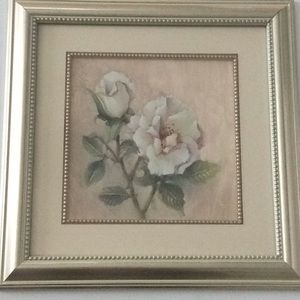 Paul Mathenia Iris Elegance “Rose”